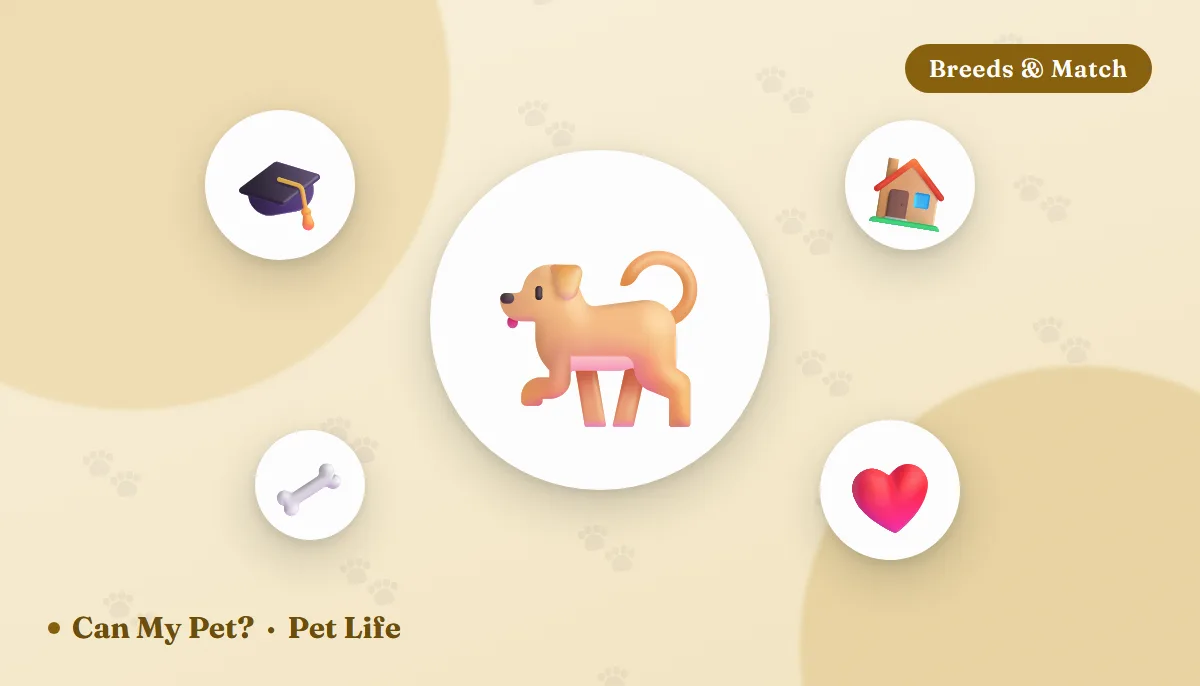 10 Best Dog Breeds for First-Time Owners (Source-Checked Picks)