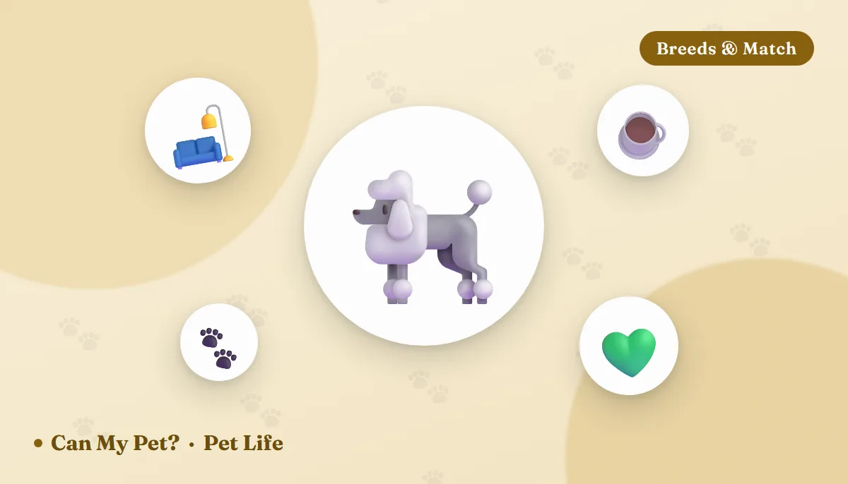 10 Best Dog Breeds for Seniors (Source-Checked, Low-Maintenance Picks)
