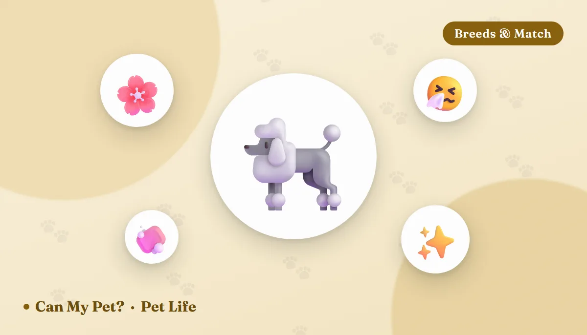 12 Best Hypoallergenic Dog Breeds (And the Honest Science)