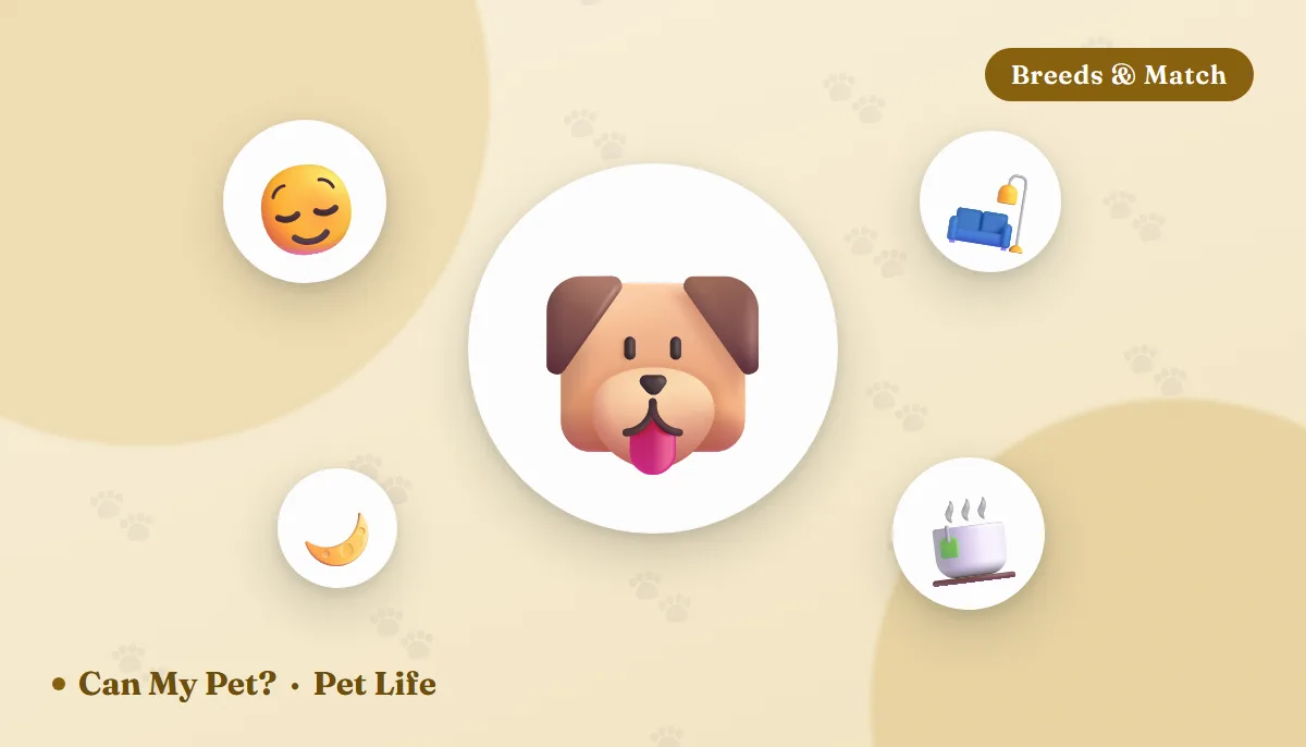 10 Calmest Dog Breeds (Source-Checked Picks for a Low-Key Home)
