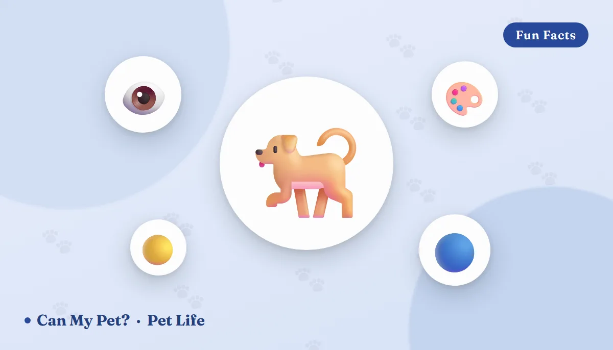 Can Dogs See Color? What the World Really Looks Like to Your Dog