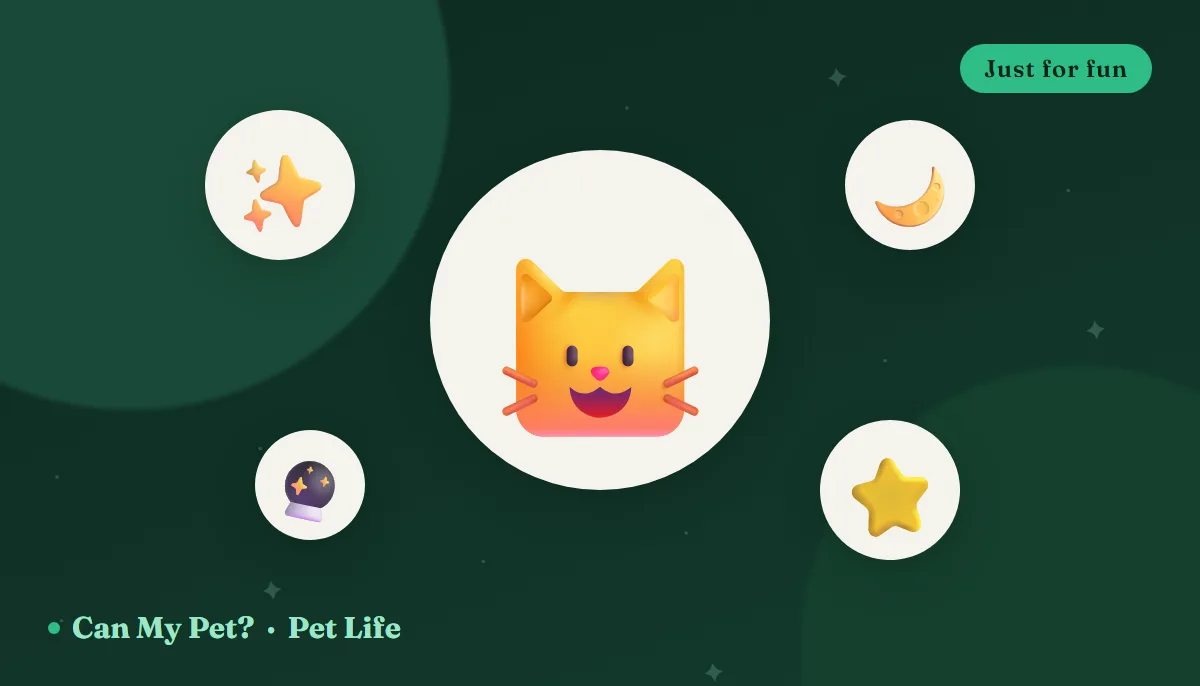 Cat Zodiac Signs: What Your Cat's "Sign" Says About Them