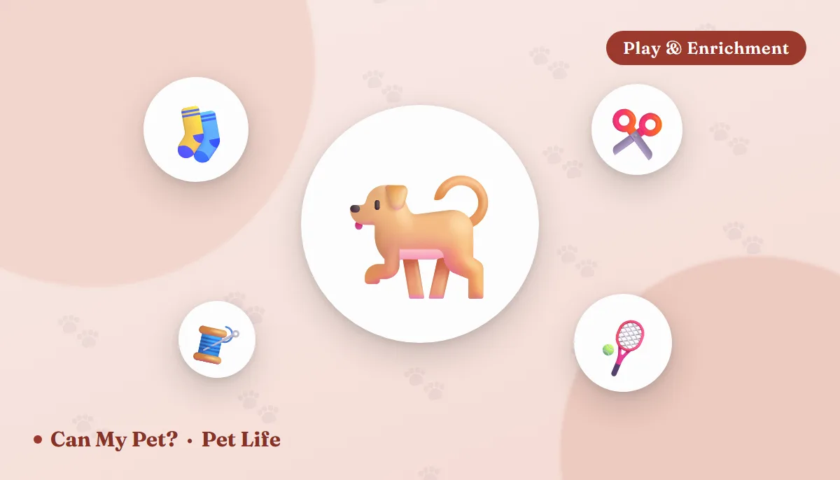 12 DIY Dog Toys You Can Make at Home Tonight