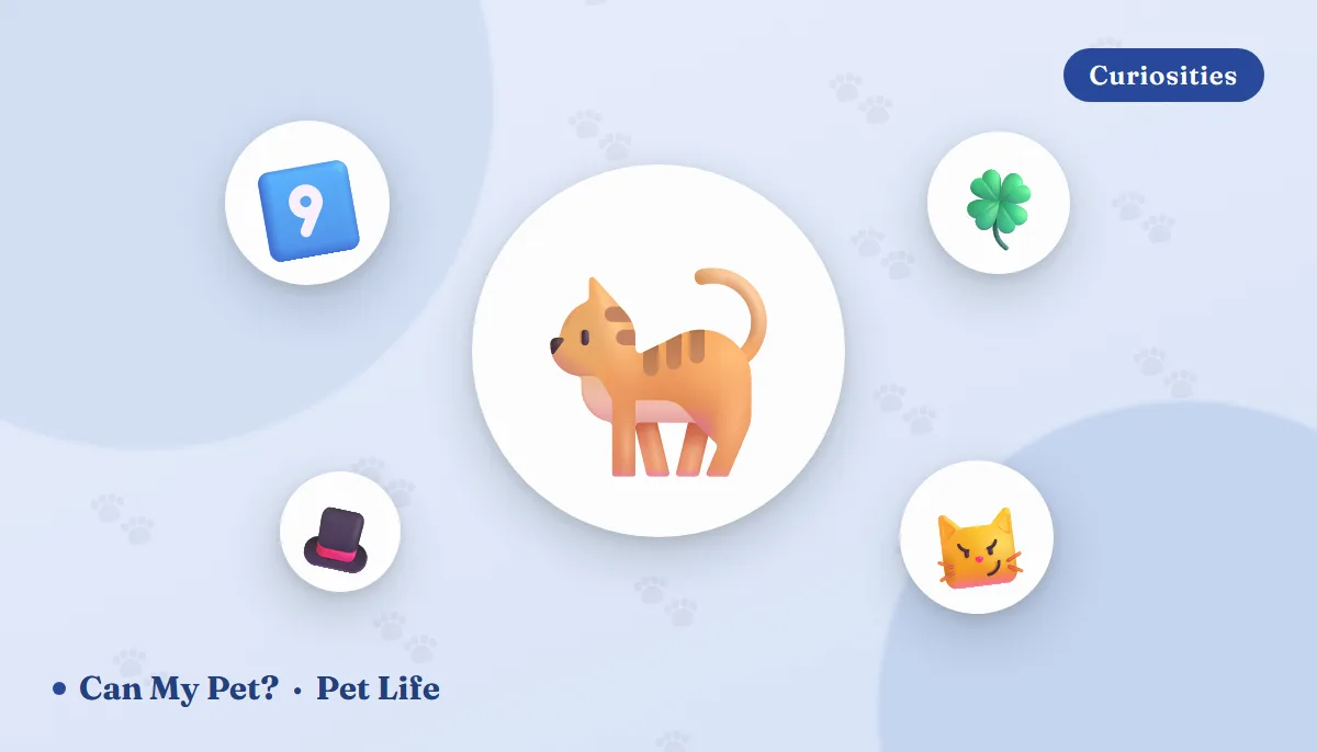 Do Cats Really Have Nine Lives? The Science (and Myth) Explained