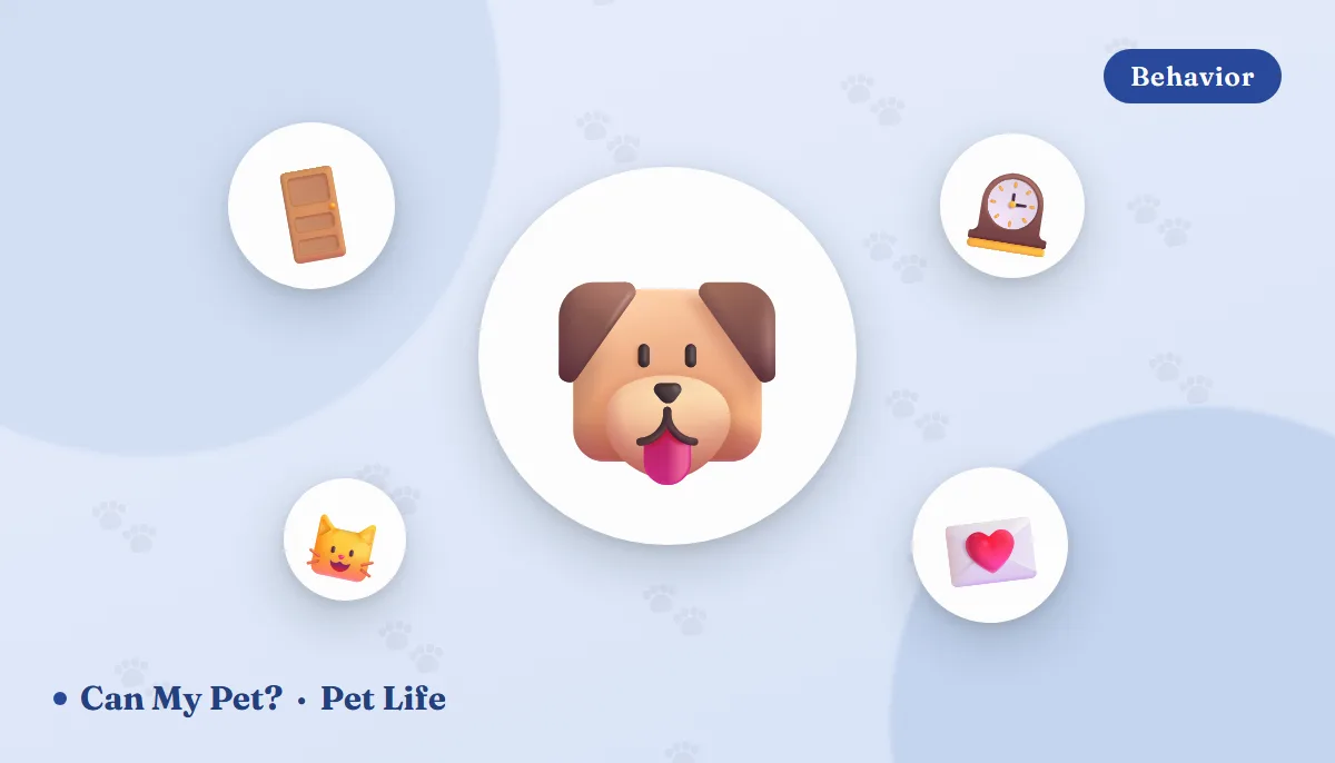 Do Pets Miss Us When We're Gone? What the Science Says