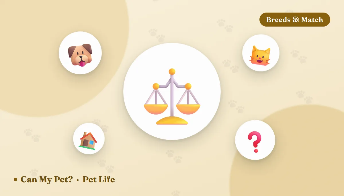 Dog or Cat: Which Is Right for You? An Honest Comparison