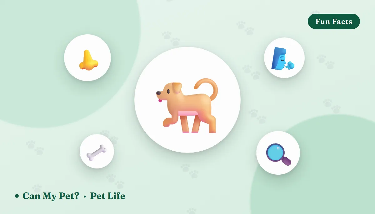 How Good Is a Dog's Sense of Smell? The Science Behind the Nose