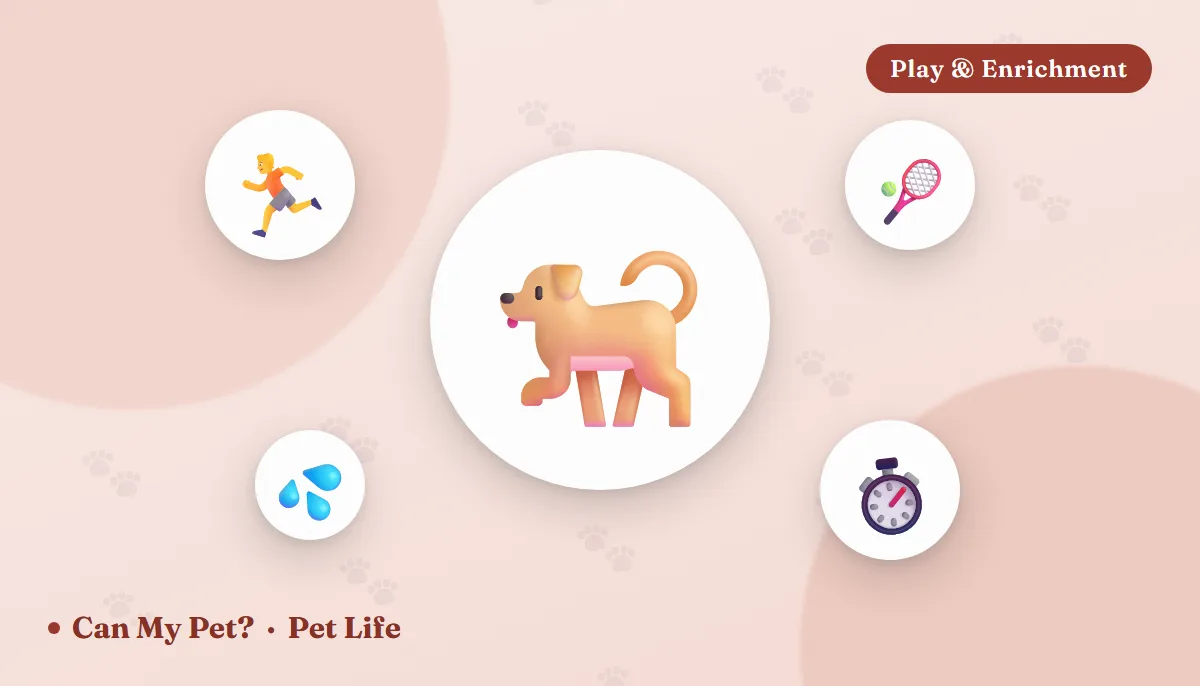 How Much Exercise Does My Dog Need? By Age & Breed