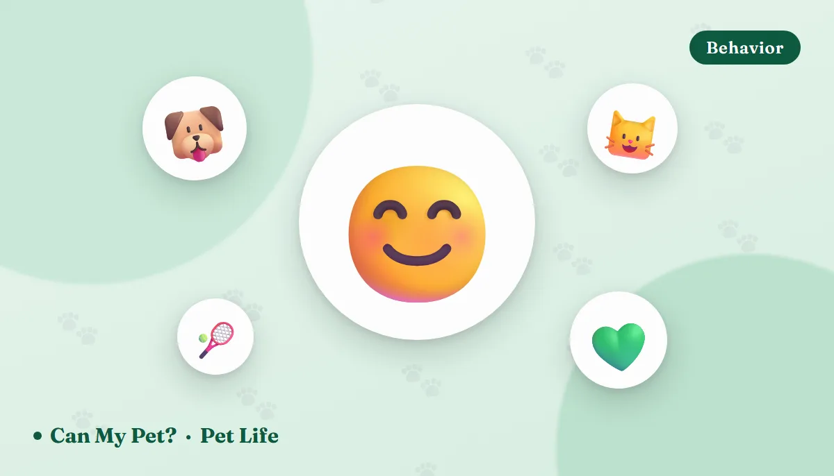 How to Tell If Your Pet Is Happy: 12 Signs Vets Look For