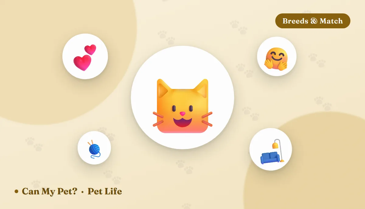 12 Most Affectionate Cat Breeds (and What "Affectionate" Really Means)