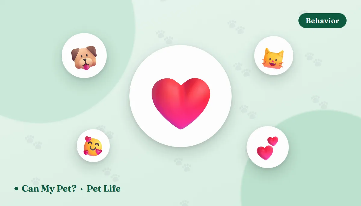 15 Signs Your Pet Loves You (According to Science)