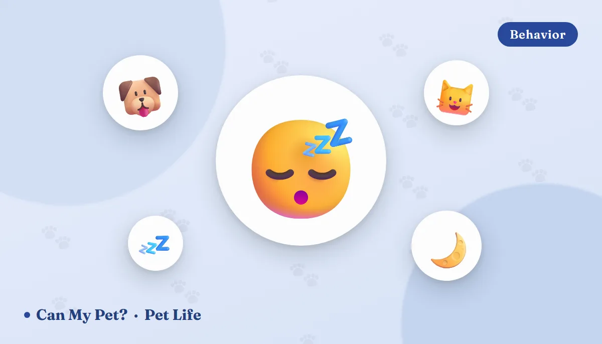 What Your Pet's Sleeping Position Means (Just for Fun 🪄)
