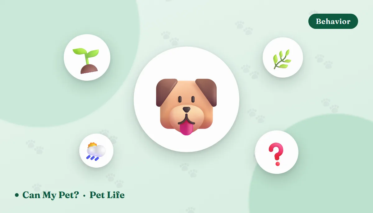 Why Do Dogs Eat Grass? 7 Real Reasons (and When to Worry)